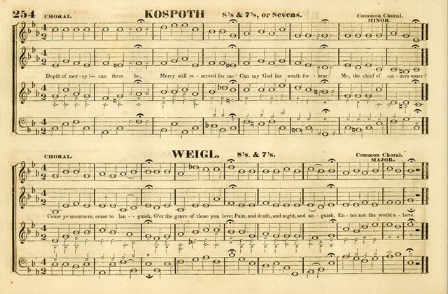 The American harp: being a collection of new and original church music, under the control of the Musical Professional Society in Boston page 191