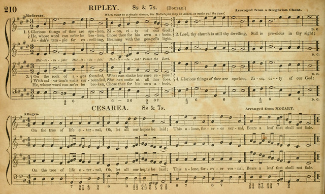 Carmina Sacra: or, Boston Collection of Church Music: comprising the most popular psalm and hymn tunes in eternal use together with a great variety of new tunes, chants, sentences, motetts... page 174